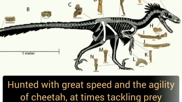 Tops science news of the week | Science news | Weekly report | Knowverse смотреть онлайн