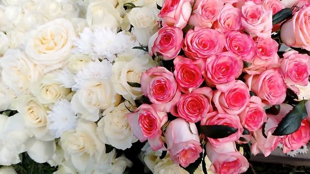 Фильм о памятных мероприятиях к 50-летию Ю. Шатунова. Москва. 6 сентября 2023 года. смотреть онлайн