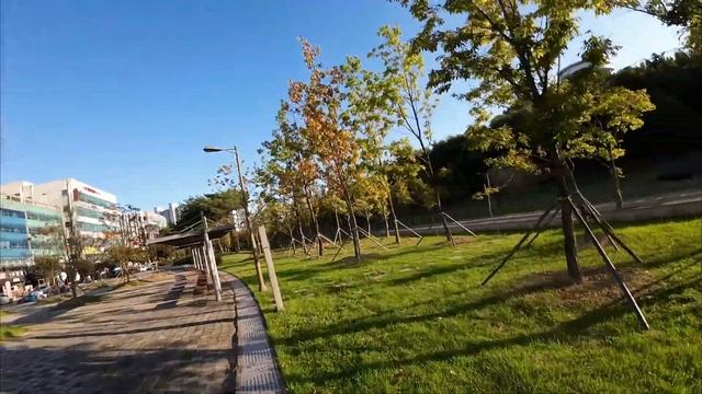 Pavo pico in Autumn (o3air unit+Rocksteady) смотреть онлайн