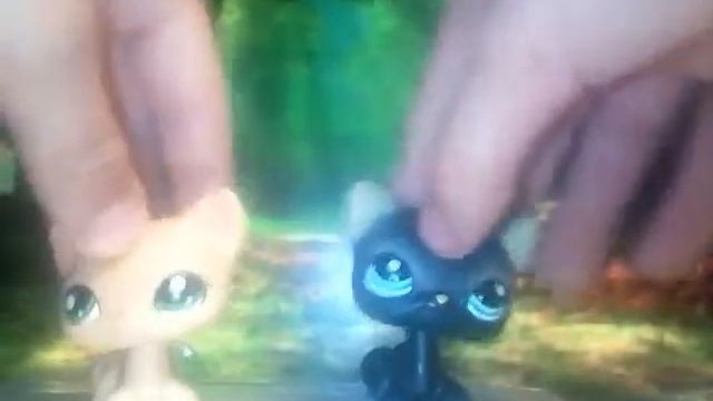 Лпс клип: лето солнце жара смотреть онлайн