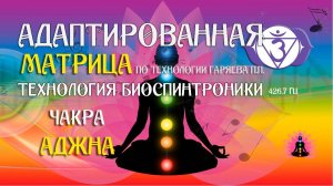 Аджна 🧘 чакра 🔊 матрица по технологии Гаряева П.П ☀️ SoftRadio.ru