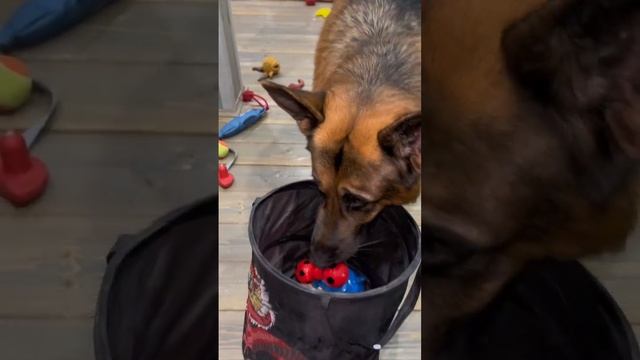 24 марта 2024 г. смотреть онлайн