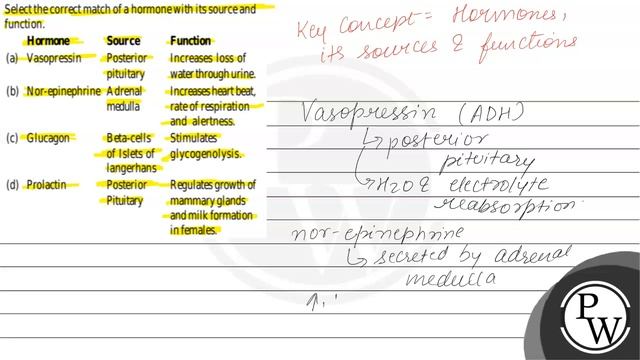 Select the correct match of a hormonewith its source and function.
\( \begin{array}{ccl}\text { ... смотреть онлайн
