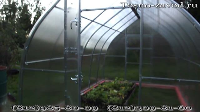 Презентация теплицы Купава / Тосненский завод теплиц смотреть онлайн