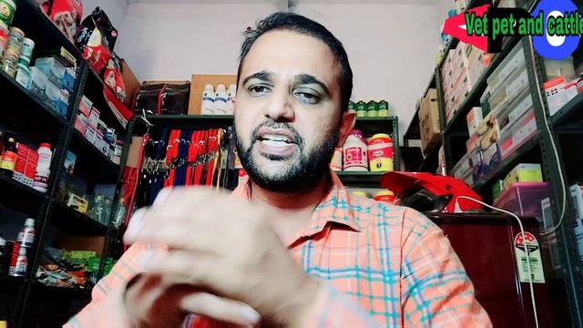 Dog 🐕 Ko Mota व Weight Gain Kase Kare ? कुत्ते को मोटा व वजन कैसे बढ़ाएं!! смотреть онлайн
