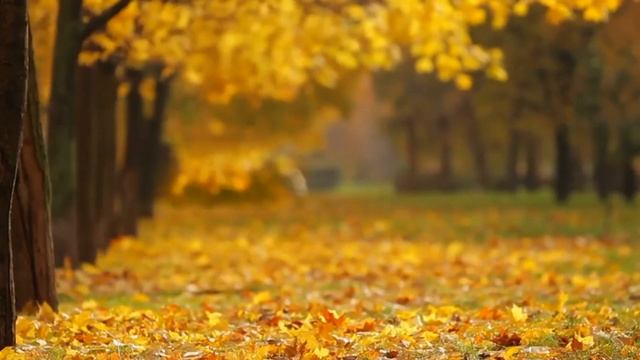 Інтелект України. Українська мова. Клас 2, Частина 9, Урок 1-2 смотреть онлайн