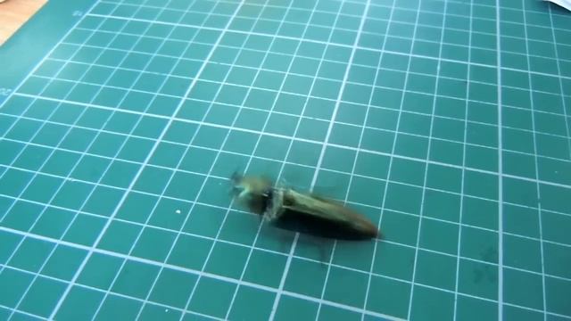 大青叩頭蟲翻身絕技 смотреть онлайн