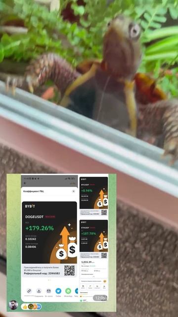 Когда результаты шокируют