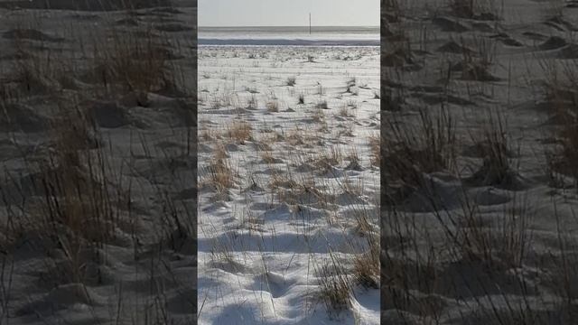 6 февраля 2021 г. смотреть онлайн
