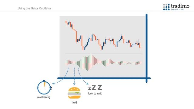 Tradimo - How To Work With Indicators - 11 The Gator Oscillator Indicator смотреть онлайн