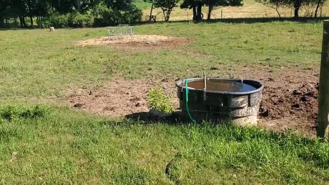 Come do my daily chores on a small cattle farm in Michigan. смотреть онлайн