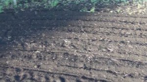 СЕКРЕТНЫЕ места Андрюхи "Доброго" / search for coins