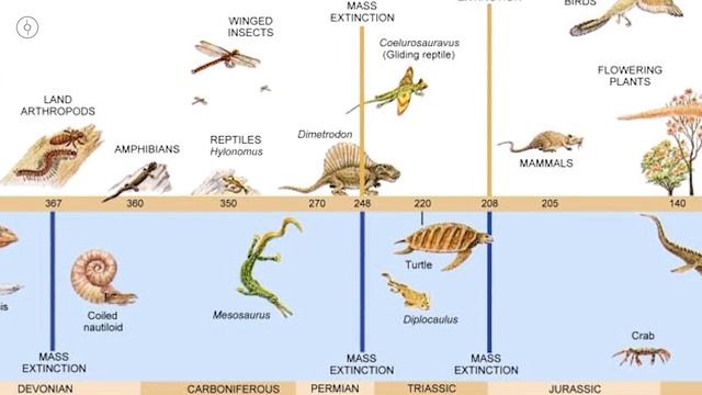 АМЬДРАЛ ХЭРХЭН ҮҮССЭН БЭ ? смотреть онлайн
