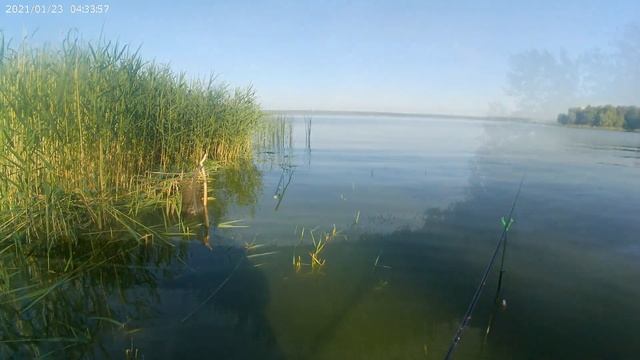 Отличный карась на реке Черемшан. смотреть онлайн
