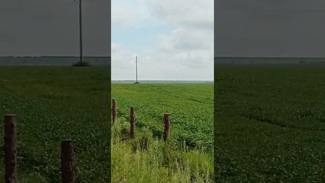 Виды и проблемы...возле Шадрина. смотреть онлайн