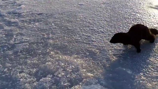 Рыбалка. Любопытная норка(2) смотреть онлайн