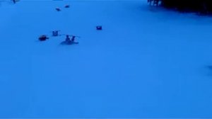 Белорусы устроили заезд Формула 1 в Буковеле. часть 1