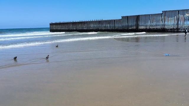 11 ч. Из Алтайского края в США через Мексику/ Тихуана/переход границы