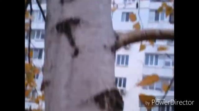 ЛПС клип Биение Сердца + фотосъемка Символа канала смотреть онлайн