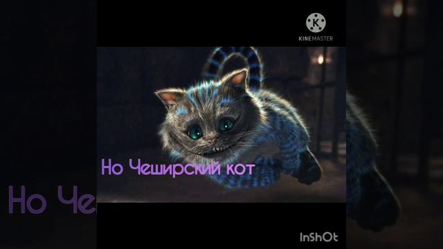 Чеширский кот. смотреть онлайн