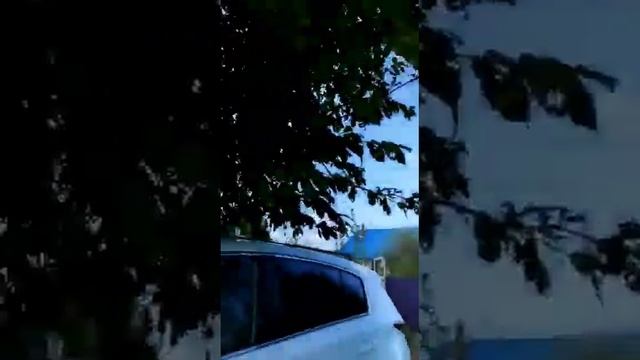 Напасть в Башкирии - не парный шелкопряд , кто знает как с ним бороться? Напишите пожалуйста. смотреть онлайн