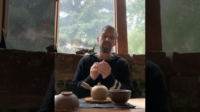 Tea and Health (Biochemical and Taoist perspectives) смотреть онлайн