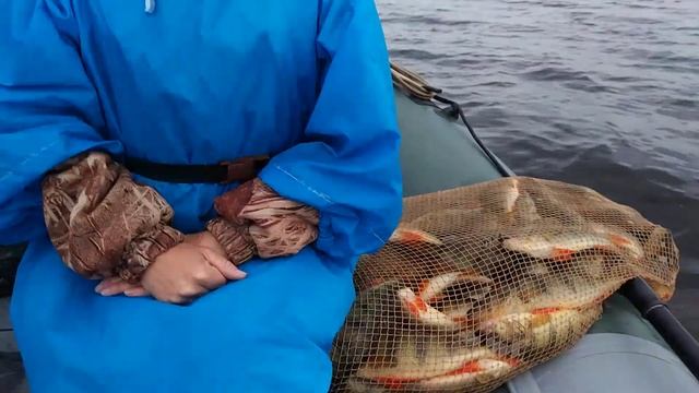 Рыбалка на СВ390МК снова удалась. смотреть онлайн