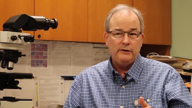 NN Update Episode #6: April 11, 2022 смотреть онлайн