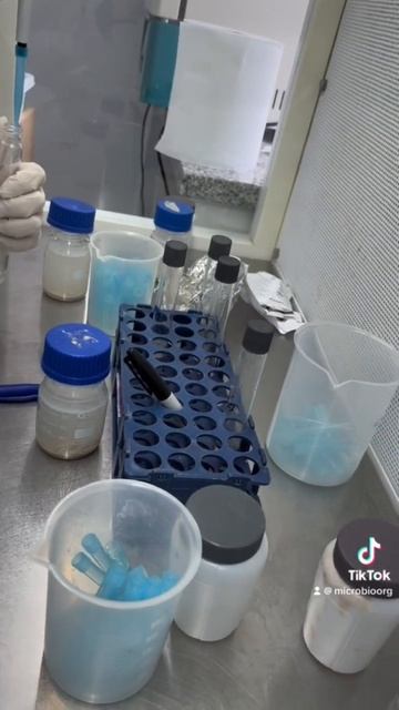 #microbiologia #biology #bacterias #biologicalcontrol #biocontrol смотреть онлайн