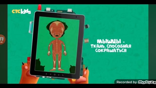 Здоровое тело человека смотреть онлайн