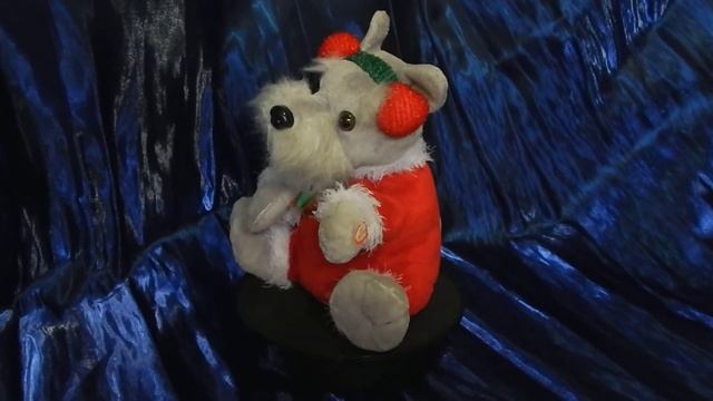 Schnauzer in headphones and red overalls.In static.Шнауцер в наушниках и красном комбинезоне.Статик смотреть онлайн