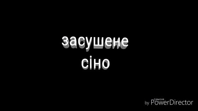 ТОП 5 грубих кормів для кролів в зимовий період смотреть онлайн