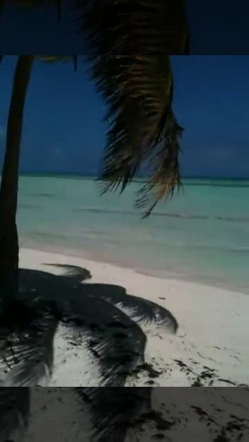 Cayo Coco Cuba смотреть онлайн