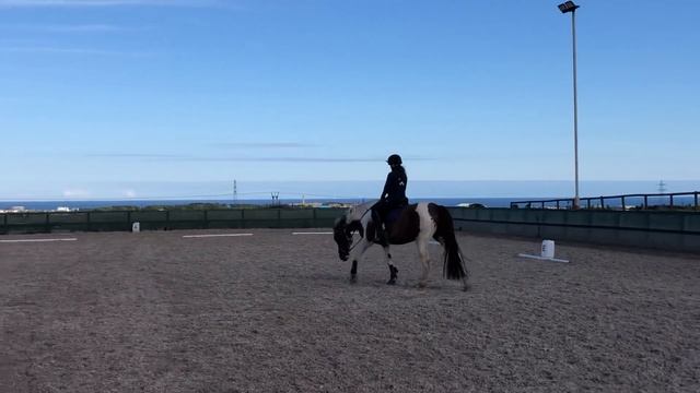 Eva and Miss Penny, Intro 4, Class 17, Mr Grey and His Ladies смотреть онлайн