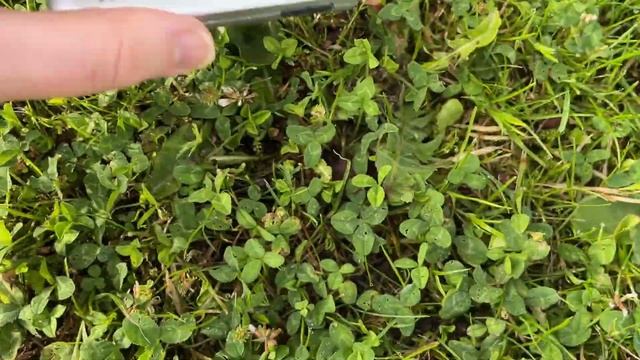 Robot Lawn Mower Pro Tip: Quickly Locate Where The Perimeter Wire Is Broken With A Pocket Radio
