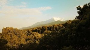 Ученость подобна буйной фантазии одержимого в психбольнице