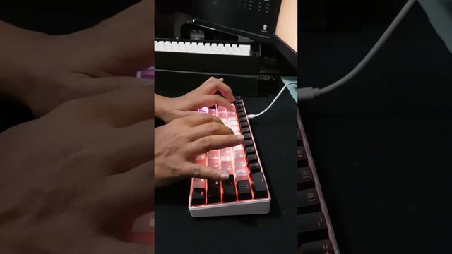 Vortexseries Vx5 Outemu Brown Lubed Typing Sound