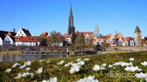 Шансон Леха2стакана - Прокурору зелёному — слава!