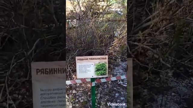 Любимый Екатеринбург! Радуга парк. Часть 2 смотреть онлайн