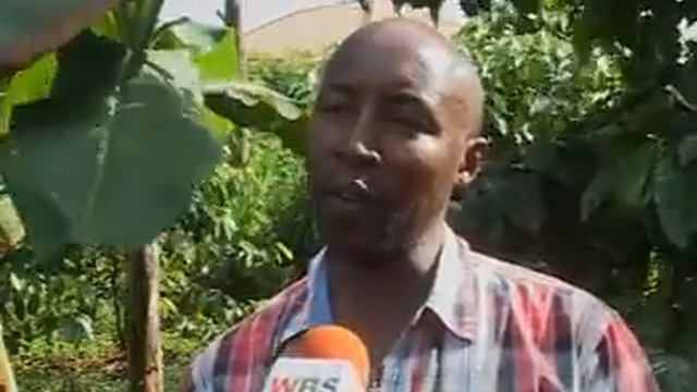 Smart Farming: Earning from inter-cropping coffee and bananas смотреть онлайн