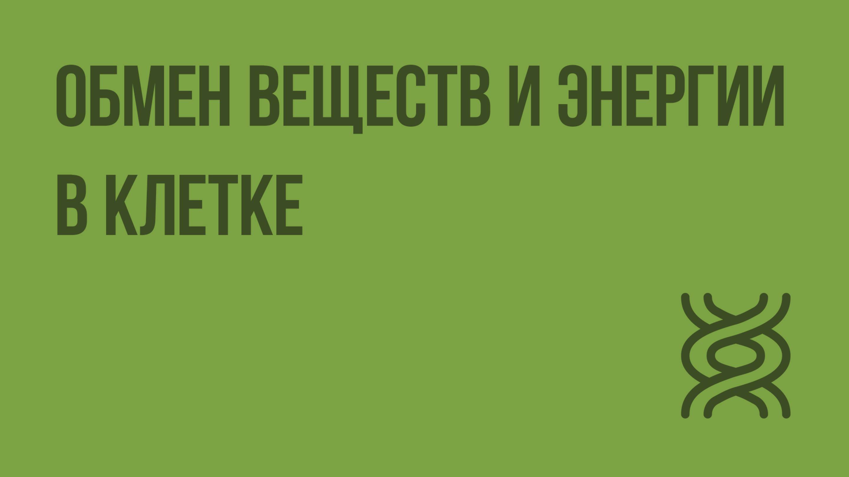 Обмен веществ и энергии в клетке. Видеоурок по биологии 10 класс смотреть онлайн