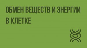 Обмен веществ и энергии в клетке. Видеоурок по биологии 10 класс