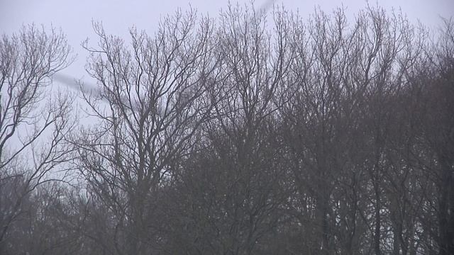 Wind Turbine Syndrome, a matter of bad prevention? смотреть онлайн