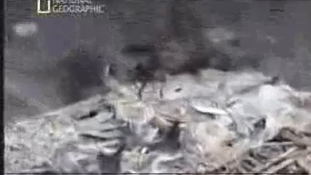 Настоящие вампиры смотреть онлайн