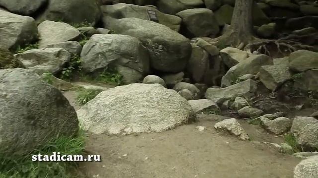 Комплект Flycam Vista II Stabilization System C5 смотреть онлайн