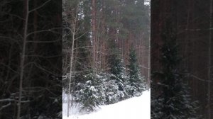 №68 Гармонизация пространственных слоёв