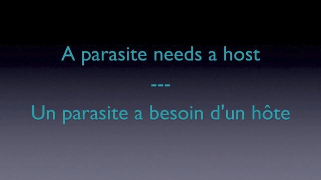 Lyrics Traduction Française - Evelyn Evelyn : Evelyn, Evelyn