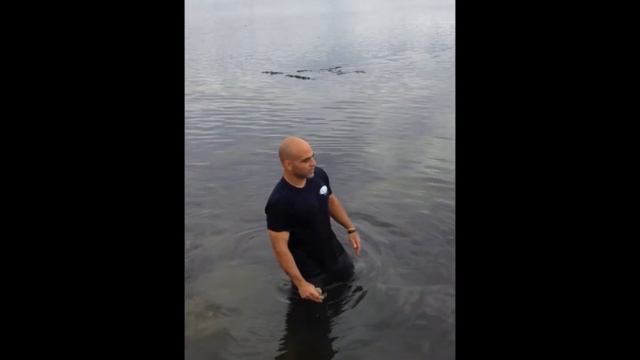 Matunuck Oysters смотреть онлайн