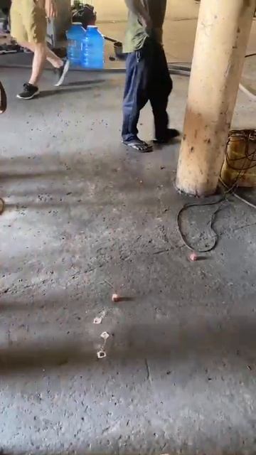 Coconut Shell Charcoal For Shisha, The Hardness Testing