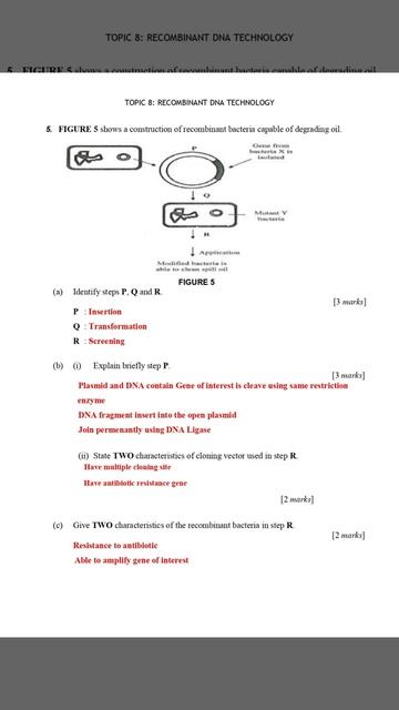 Exercise Topic 8 Recombinant DNA Technology смотреть онлайн